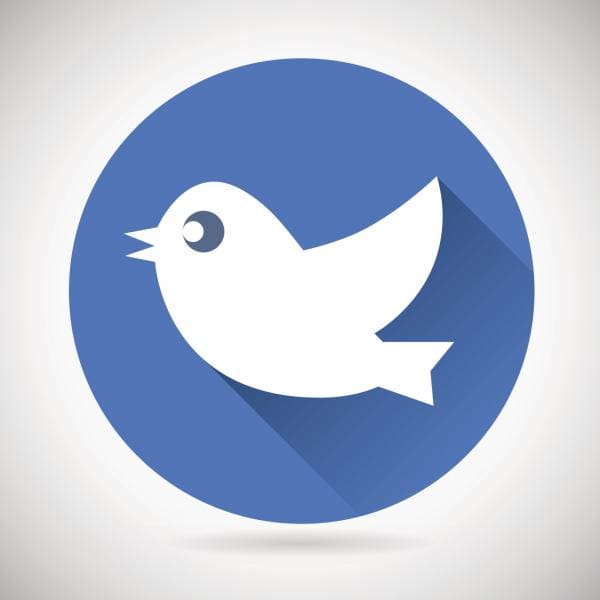 Twitter 101: A 2015 Guide to Marketing on Twitter