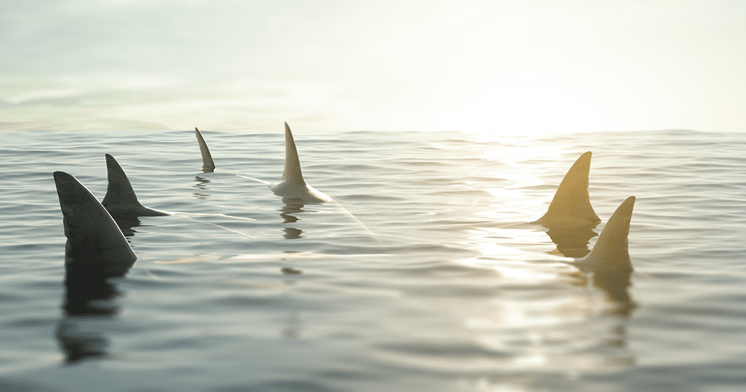 How to Pitch Your Product to the Sharks on Shark Tank