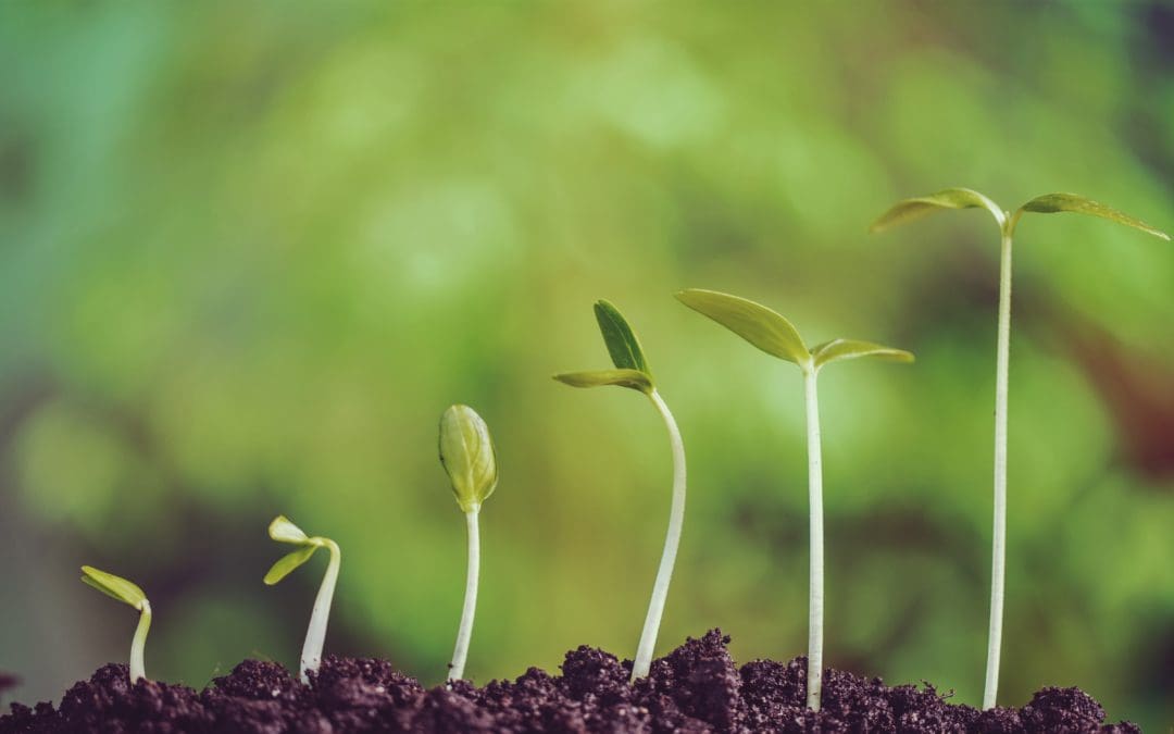 Why Equity Crowdfunding is the Perfect Follow Up to a Successful Kickstarter or Indiegogo Campaign