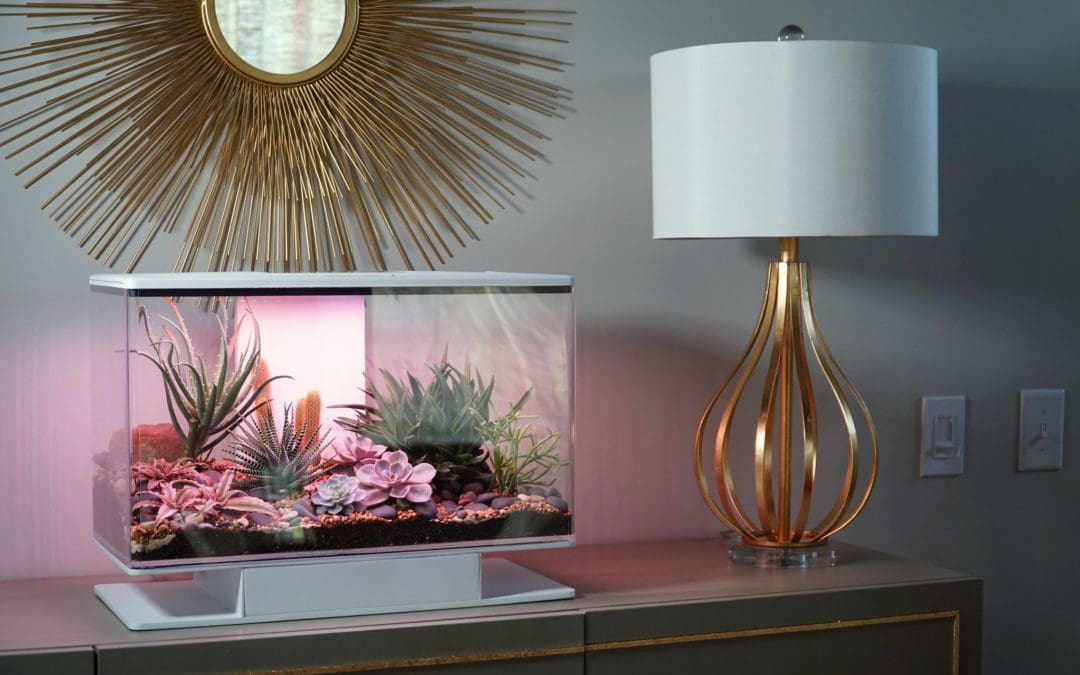 Answers to Common Questions about Prototyping