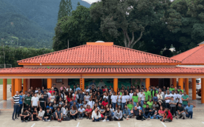 From York to YLAI: How a Semester Abroad Shaped Cross-Cultural Connections